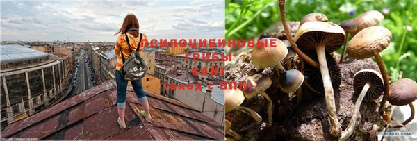 MDMA Premium VHQ Туринск