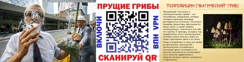 Галлюциногенные грибы Magic Shrooms  Меленки 
